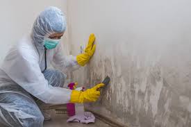 Best Forensic Mold Investigation  in Hillburn, NY